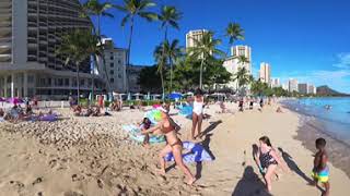 360° Video 73124🌴 🌋🚶🏼🏖️🌊 Walking Waikiki 🏖️🔥🌺🌴🏄‍♀️💥🍹🦭🐢 [upl. by Janiuszck]