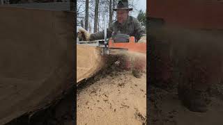 Sawmill Setup For Under 600 Bucks chainsawmill chainsaw neotec farmmac [upl. by Staley483]