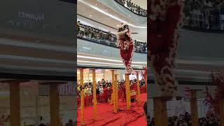 Barongsai Show di Lippo Mall Puri [upl. by Renner428]