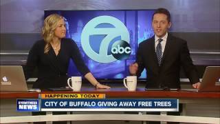 City of Buffalo giving away free trees [upl. by Otrebogad]