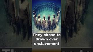 African captives chose to drown to escape slavery shorts facts history [upl. by Ahsaret]