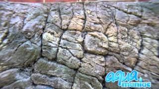 3d thin rock aquarium background by Aqua Maniac [upl. by Asiuol622]