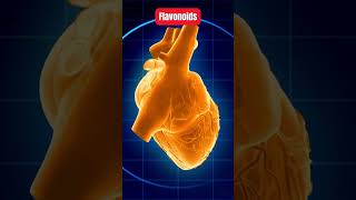 Discover the Power of Flavonoids Why You Need These Superfoods healthtips flavonoids [upl. by Yerd]