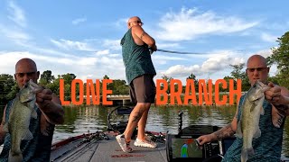 HOW to Catch FISH in the EVENING  LONE BRANCH  EPISODE 3  fishing falconboats diawa [upl. by Belle]