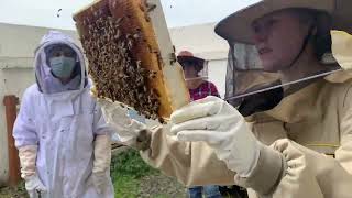 Coos Beekeepers Association First Apiary Inspection of 2023 [upl. by Ojybbob]