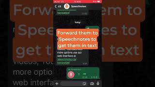 Easily Turn WhatsApp Voice Messages to Text [upl. by Lodnar199]