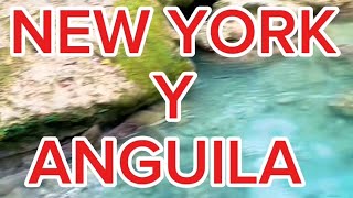 LOTERIA NUEVA YORK Y ANGUILA HOY martes 8 octubre DE 2024 [upl. by Anot]