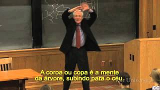 Introdução à Teoria da Literatura 15 com Paul Fry de Yale [upl. by Dyana]