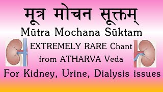 Mootra Mochana Suktam  RARE CHANT  Atharva Veda  Treating Kidney amp Urinary Issues  Sri K Suresh [upl. by Caneghem]