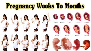 Pregnancy Weeks To Months  1 To 9 Weeks Fetal Developments [upl. by Trust]