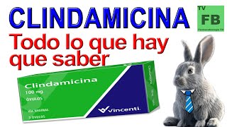 CLINDAMICINA Para qué Sirve Cómo se toma y todo lo que hay que saber ¡Medicamento Seguro👨‍🔬💊 [upl. by Assyn86]