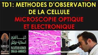 td 1 de biologie cellulaire s1 svi fssm et BCG 2023 le microscope optique et electronique [upl. by Ahsekyt]