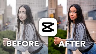 CapCut Color Grading 101 Tutorial [upl. by Tiphanie]