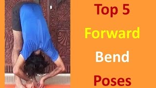 Top 5 Forward Bend Poses  Yoga for Beginners  Vashistha Yoga [upl. by Schreck752]