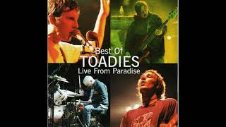 Toadies  Possum Kingdom Live [upl. by Aramat]