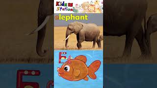 Animals Phonics Song  A to L  Part 1  kidzstation shorts [upl. by Licha]