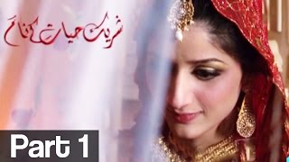 Shareek e Hayyat kay Naam Part 1  ATV [upl. by Namar]