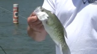 CRAPPIE TIPS Fishing brushpiles with weedless jigs [upl. by Ahsied]