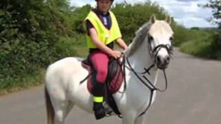 Riding Schools  Normanby Park Riding School [upl. by Trin]