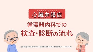 心臓弁膜症 循環器内科での検査・診断の流れ [upl. by Dwaine]