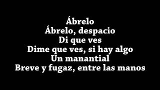 Los días raros Vetusta Morla Karaoke Letra [upl. by Nahtaneoj]