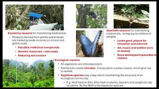 Conservation vs preservation OCR A ALevel Biology 632 Population and sustainability [upl. by Saberhagen729]