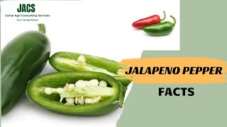 Jalapeno Facts [upl. by Marilin80]