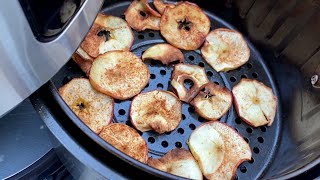 Air Fryer Apple Chips Recipe  How To Make Dehydrated Cinnamon Apple Slices In The Air Fryer [upl. by Vizza361]