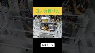 池袋 クレーンゲーム 攻略 ゲーセン ミートーキョー ハンターハンター ゴン タコライス taco storage TikTok [upl. by Harrington829]