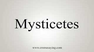 How To Say Mysticetes [upl. by Innej]