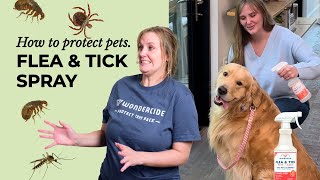 How To Wondercide Flea amp Tick Pets  Home spray [upl. by Ys]