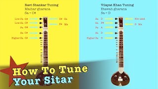 Sitar Tuning detailed how to video [upl. by Lainahtan]