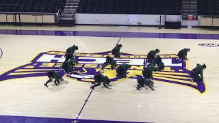 Gallatin High School Wavettes Dance Team [upl. by Annekim174]