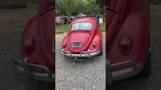 NICE 67 VW CAL BUG VW bug calistyle 1967 67bug patina [upl. by Phillada707]