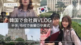 母校の卒業式！韓国で働く日本人VLOG半休の日久々のキョンヒ大学【韓国生活】한국에서 일하는 일본인 브이로그경희대 졸업식 [upl. by Attebasile485]