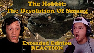 The Hobbit The Desolation Of Smaug Extended Edition MOVIE REACTION FIRST TIME WATCHING [upl. by Wei]