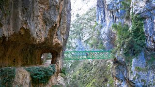 4K Ruta del Cares Completa  Senderismo por los Picos de Europa  PNPE3 senderismo [upl. by Luann]