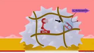 Fibrinolytics Pharmacology [upl. by Chipman]