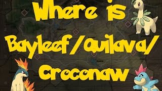 Where Is BayleefCroconawQuilava Post Game Location 2 Pokemon Colosseum [upl. by Dlanigger]