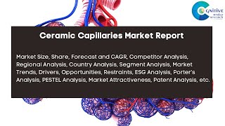 Ceramic Capillaries Market Report 2024 [upl. by Vatsug947]