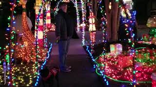 Black Pug Chief Checking out Christmas Lights in Virginia Beach [upl. by Panta]