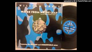 William Orbit  Water From A Vine Leaf Cromer Chroma Mix [upl. by Esilec539]