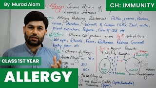 Allergy or Hypersensitivity Biology 1st year in UrduHindi l Ch Immunity [upl. by Kassel373]