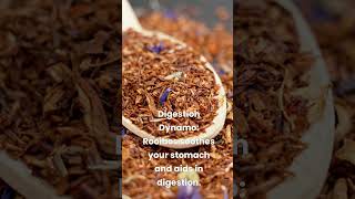 7 Amazing Health Benefits of Rooibos Tea [upl. by Nady648]