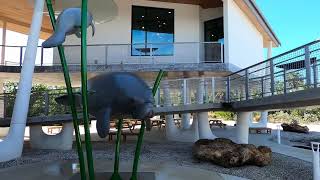 Lovers Key State Park Discovery Center [upl. by Rainger]