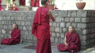 11Dharamsala Buddhist Courtyard Debates [upl. by Fanchie]