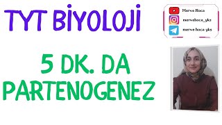 Partenogenez TYT BİYOLOJİ BURADAN SORU GELEBİLİR tyt [upl. by Attenehs]