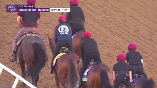 Aidan OBrien Team Hits the Track Including City of Troy [upl. by Tessler56]