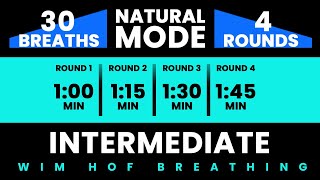 Intermediate Wim Hof Guided Breathing  4 Rounds  30 Breaths  Pure Breathwork No Frequencies [upl. by Ahsykal45]