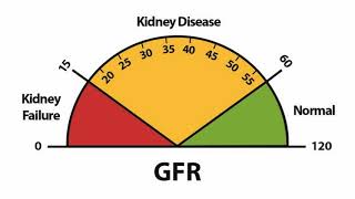 What Is A Good GFR Level [upl. by Roux]